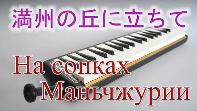 На сопках Маньчжурии [мелодика] 🎵 On the Hills of Manchuria [melodica] 🎵 満州の丘に立ちて [鍵盤ハーモニカ] смотреть онлайн