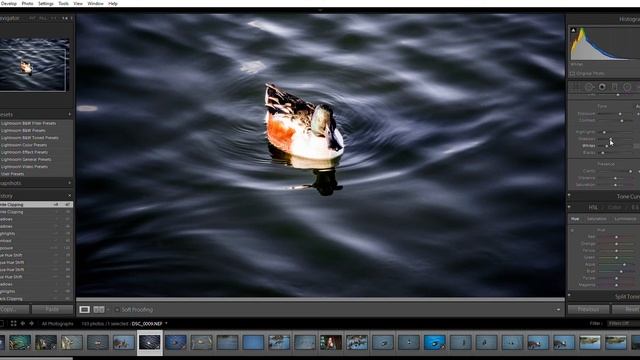 2016 Adobe Photoshop Lightroom Develop 10 12 2016 20 37 39 смотреть онлайн