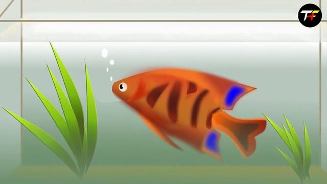 Sapne me Aquarium dekhna | Seeing Aquarium in dream | Aquarium ka sapna dekhna kaisa htoa hai смотреть онлайн