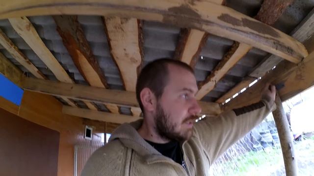 Утки мулард 50 дней смотреть онлайн