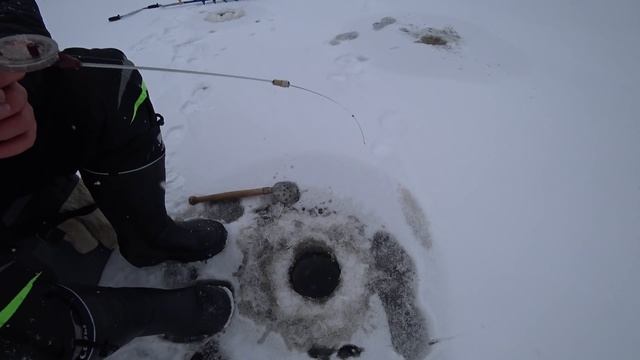 ПЕРВЫЙ ЛЁД ЧЁРНЫЕ ОКУНИ И ДРУГИЕ ПРИКЛЮЧЕНИЯ. РЫБАЛКА НА БЕЗМОТЫЛКУ смотреть онлайн