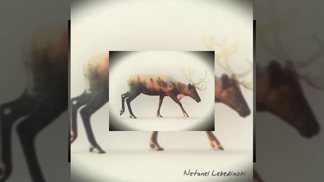 Непознанный, как небо, мир внутри тебя... смотреть онлайн