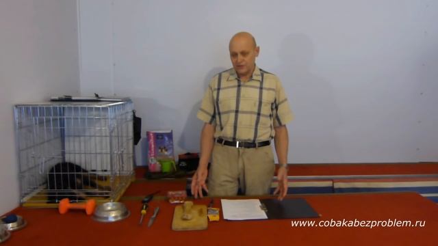 Какие кости давать собаке? смотреть онлайн