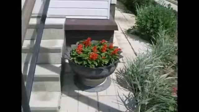 Цветник Клумбы своими руками Цветы на клумбах из покрышек смотреть онлайн