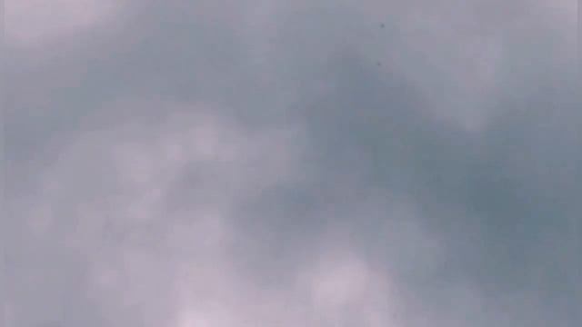 Сокол Сапсан/Орёл/Тетеревятник/Атакуют голубей. Falcon Peregrine смотреть онлайн