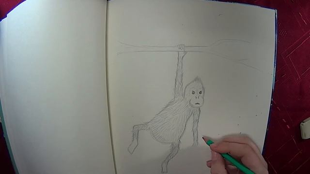 Как легко нарисовать обезьяну смотреть онлайн