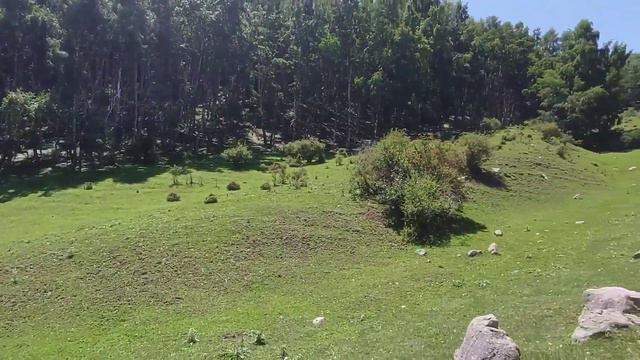 Поездка в ГОРЫ.Семеновское ущелье. Иссык-Куль 2023. Экскурсия по Кыргызстану.Пикник с шашлыками. смотреть онлайн
