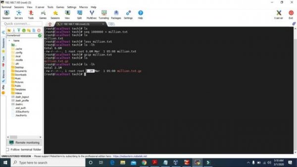 #17 - gzip and bzip2 on Linux CentOS 8