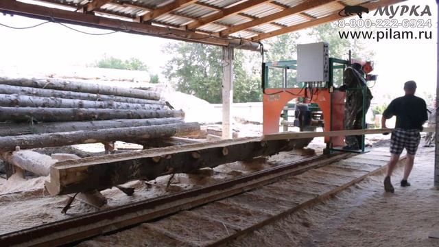 Угловая дисковая пилорама в среде обитания видео pilam.ru смотреть онлайн