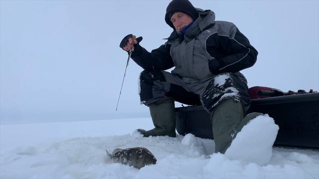 Зимняя рыбалка. Рыбинка. Окунь на балансир в глухозимье. смотреть онлайн