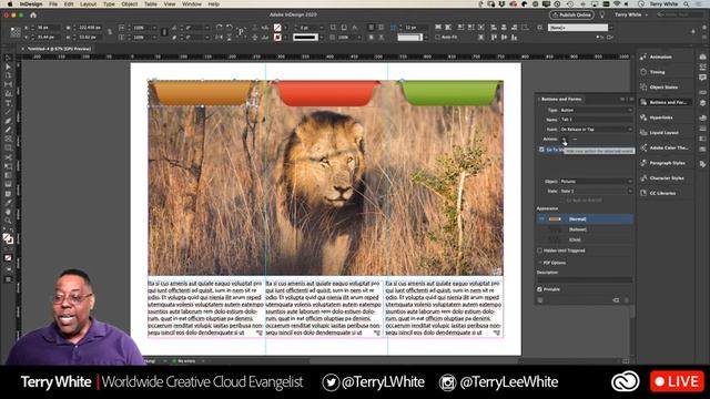 How to Create Interactive Tabs in InDesign смотреть онлайн