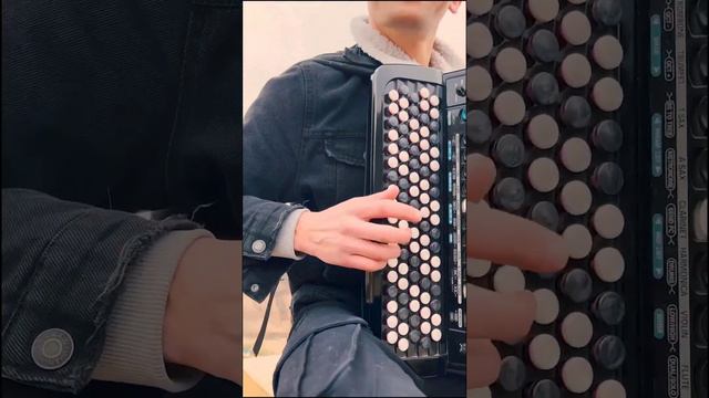 Despasito (accordion cover) смотреть онлайн
