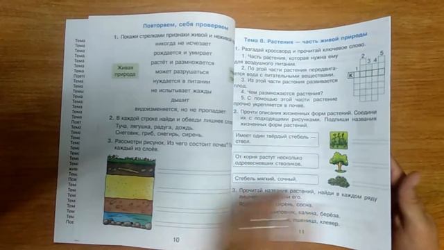 Человек и мир 2 класс смотреть онлайн