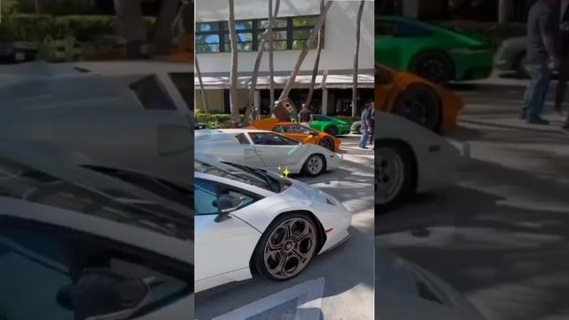 Белые схемы в био ?? смотреть онлайн