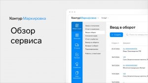 Обзор сервиса Контур.Маркировка