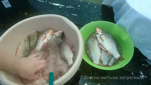 Это нужно знать при чистке карася смотреть онлайн