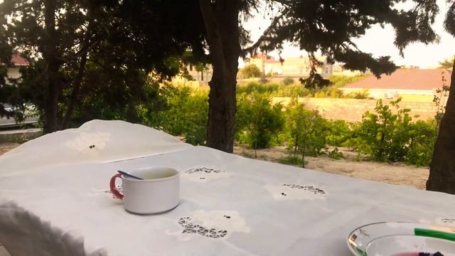 Интересные Факты и Загадки