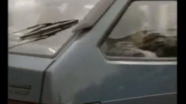 ночной февраль