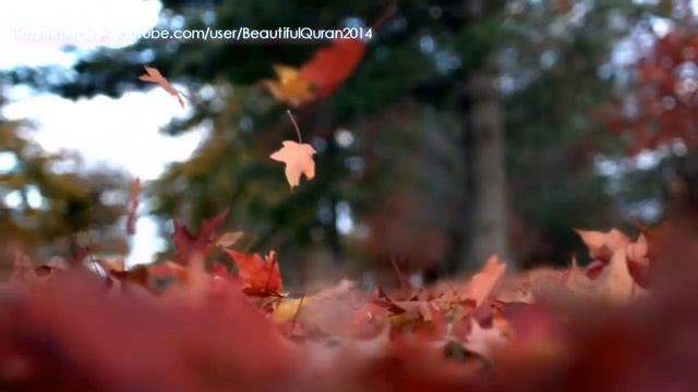 Расслабляющая чтения Корана Помощь от Стресса, Красивая природа, Успокаивающий, Спокойствие смотреть онлайн