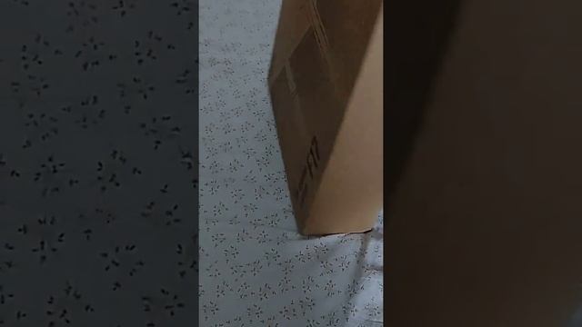 My New Laptop|| Asus F17 смотреть онлайн