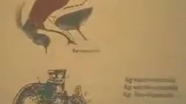 Васильева Л.Ф. Матка и предстательная железа. Vasilyeva LF Uterus and prostate.