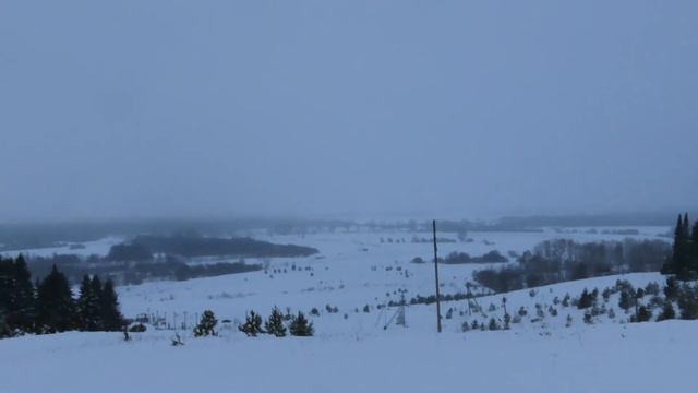 №2977 13.01.2023 Ветер и птицы смотреть онлайн