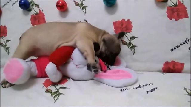 Новый год Французики 3Д смотреть онлайн