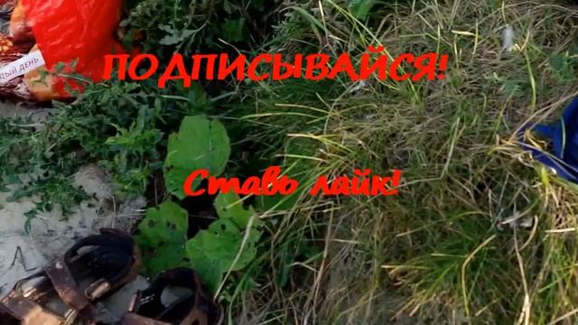 вырвалась из пасти кота и улюпендрила! /// escaped from the cat's mouth смотреть онлайн