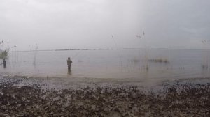ловля селедки на спинниг №1: не самый лучший день для ловли селедки.  herring fishing
