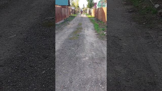 питбайк смотреть онлайн