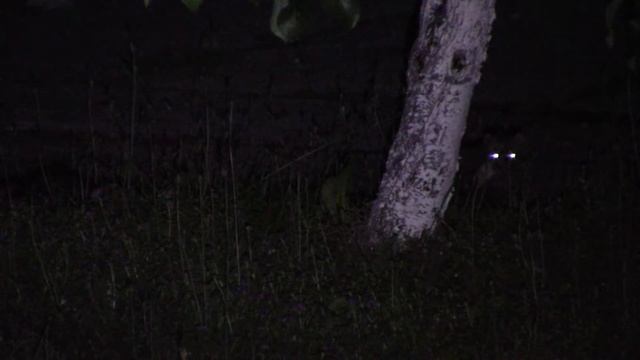 Расхитители частной собственности смотреть онлайн