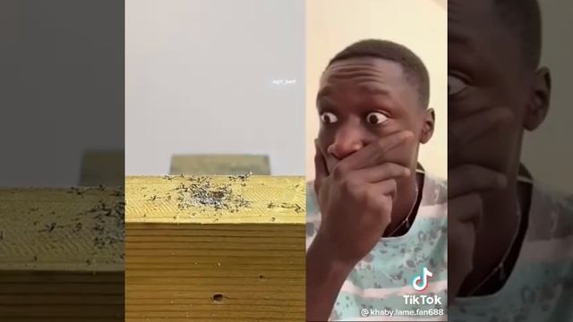 полезный лайфхак смотреть онлайн