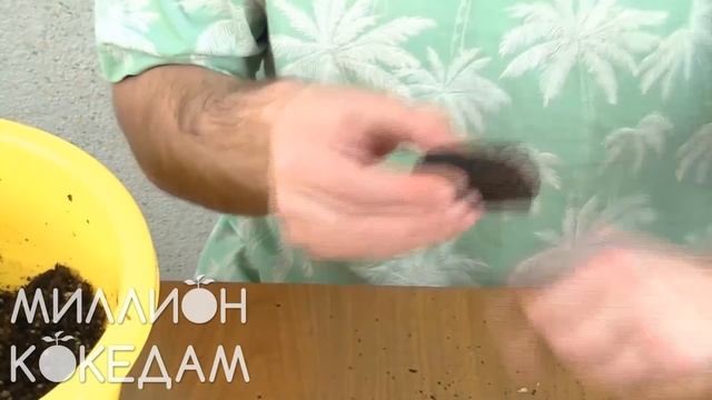 #МИЛЛИОНКОКЕДАМ Мастер-класс-10 Квадратная коко-куса смотреть онлайн