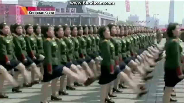 День солнца пережили , но не все так хорошо . смотреть онлайн