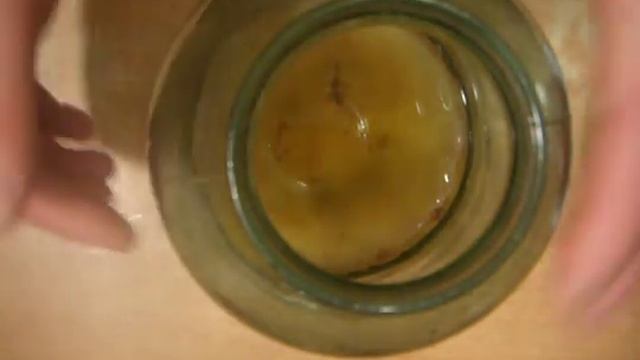 Если ЧАЙНЫЙ ГРИБ ТОНЕТ (часть 2). "Реанимация" и создание чайного гриба смотреть онлайн