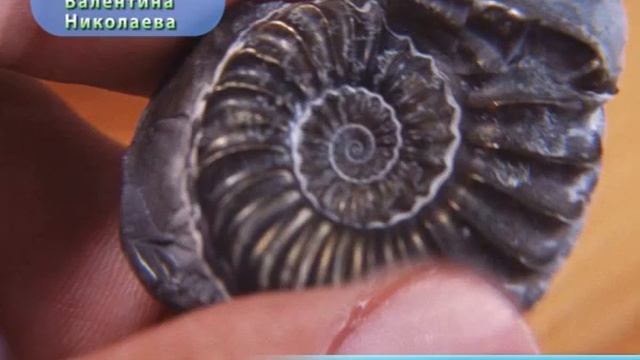 15 августа археологи отмечают профессиональный праздник смотреть онлайн