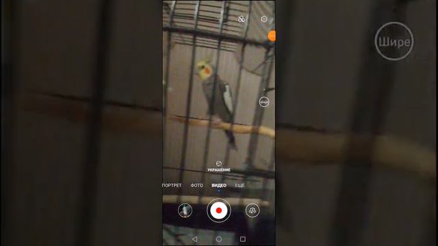 Поздравление от меня но в виде видео) (ОПИСАНИЕ) смотреть онлайн