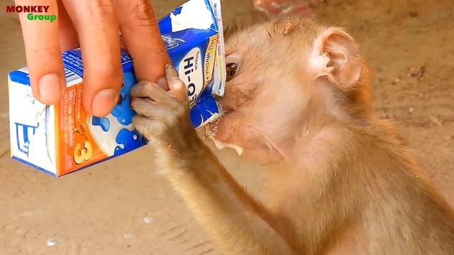 Very funny Axel's sleeping like this, so smart little boy Axel смотреть онлайн