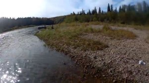 Клевая рыбалка  в верховье Печоры на хариуса