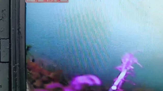 Обзор на водоеме подводной камеры GAMWATER 1000TVL в чемоданчике для зимней и летней рыбалки смотреть онлайн