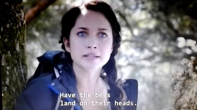 The Starving Games - Beehive scene (Hilarious!) смотреть онлайн