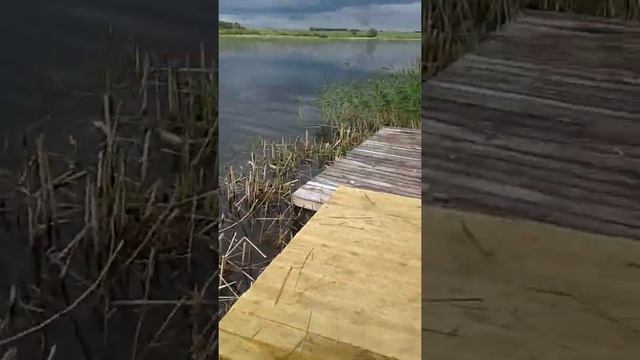 уборка травы донной косой