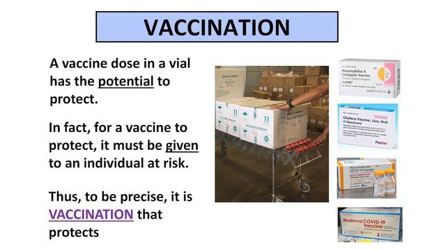 The Center for Vaccine Development and Global Health Frontiers in Vaccinology Honorary Lectureship смотреть онлайн