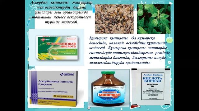 Миямова А., химия пәні оқытушысы смотреть онлайн