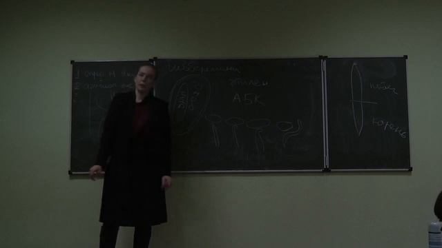 Физиология растений. Часть 2. Быкова Е. А. 03.11.2014 edit смотреть онлайн