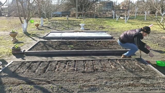 Грядка для зелени смотреть онлайн