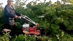 роторная косилка +мотоблок БРАЙТ.