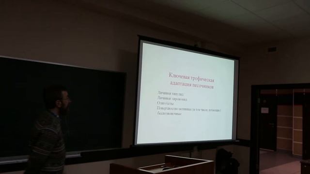 Орнитологи изучают чем все таки питаются кулики смотреть онлайн