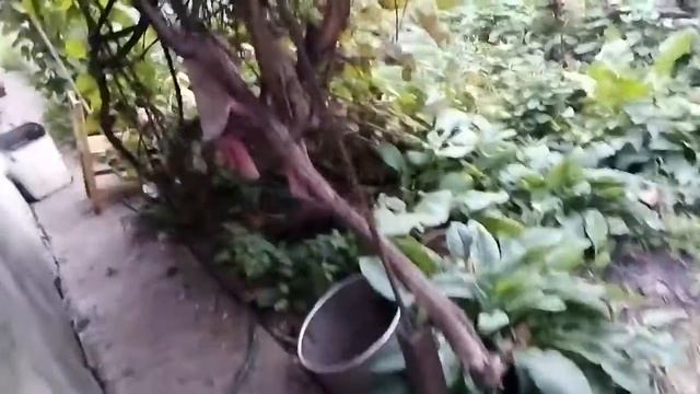 Тачка старих меблів на дрова. смотреть онлайн