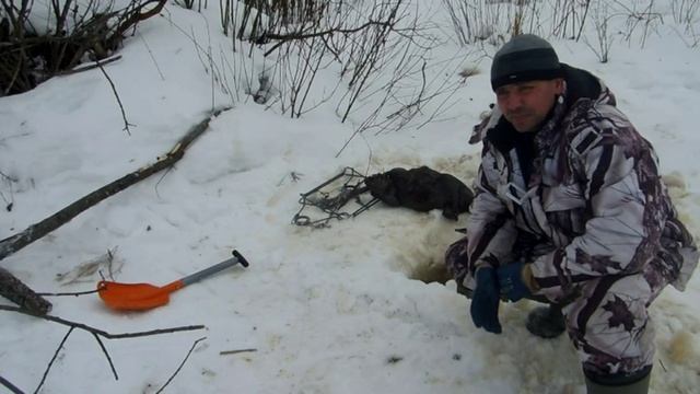ПРОВЕРКА КАПКАНОВ КП 420 НА БОБРА смотреть онлайн